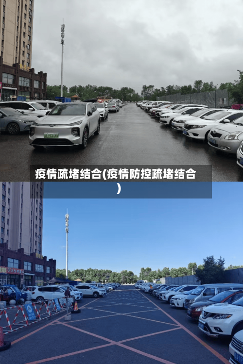 疫情疏堵结合(疫情防控疏堵结合)