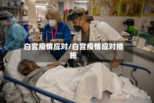 白宫疫情应对/白宫疫情应对措施