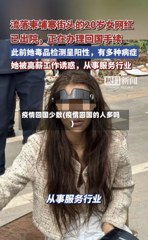 疫情回国少数(疫情回国的人多吗)-第2张图片
