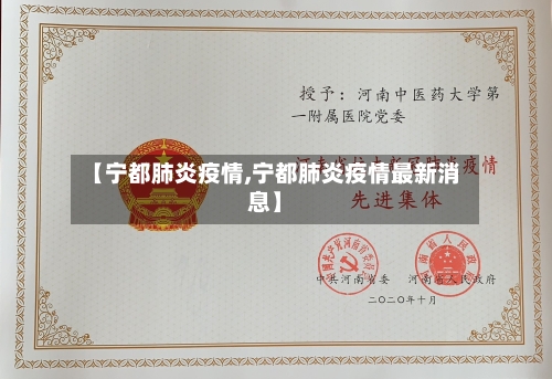 【宁都肺炎疫情,宁都肺炎疫情最新消息】