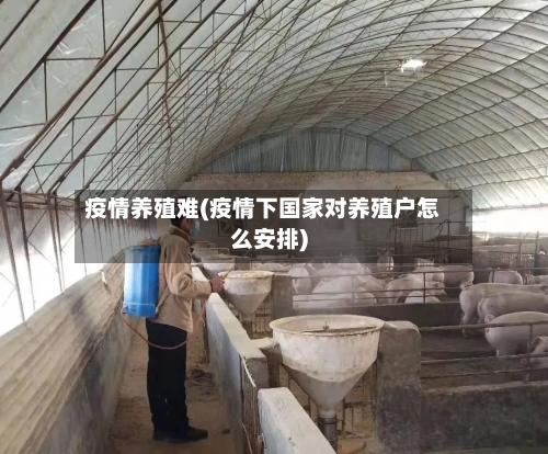 疫情养殖难(疫情下国家对养殖户怎么安排)-第2张图片